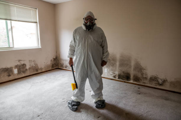 Plover, WI Mold Remediation Company